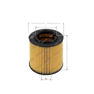 بولندي  FILTRON 
فلتر زيت حشو  BMW E60  - F10 - X5 E70
‏H*