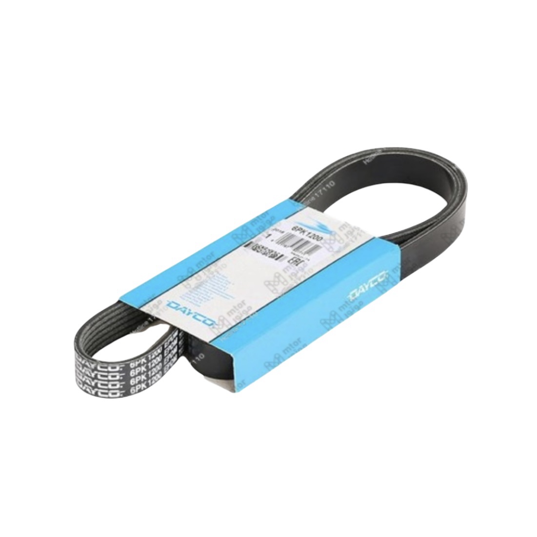 ايطالي DAYCO 
سير مجموعة 6PK1200 فلوانس 2010 - ميجان 2 - ميجان 3 - داستر 
H*