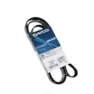 صيني DAYCO 
سير مجموعة 6PK1045 جيتا 2006 - اوكتافيا A5 - فانتازيا - جولف 6 - 5
‏H*