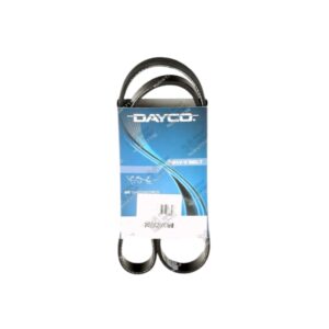 ايطالي DAYCO 
سير مجموعة 6PK1035 بيجو 301 
H*